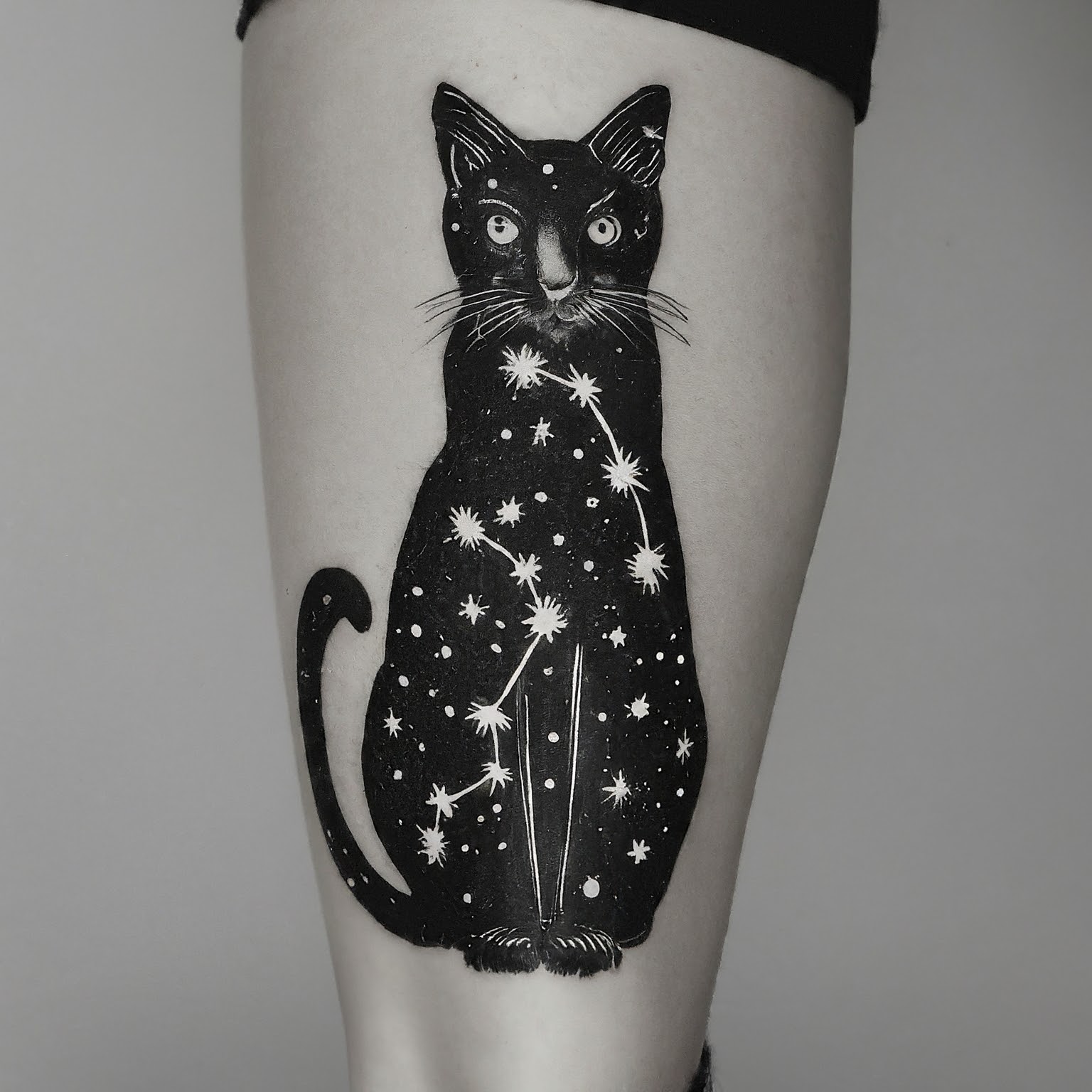 Black Cat with Constellations