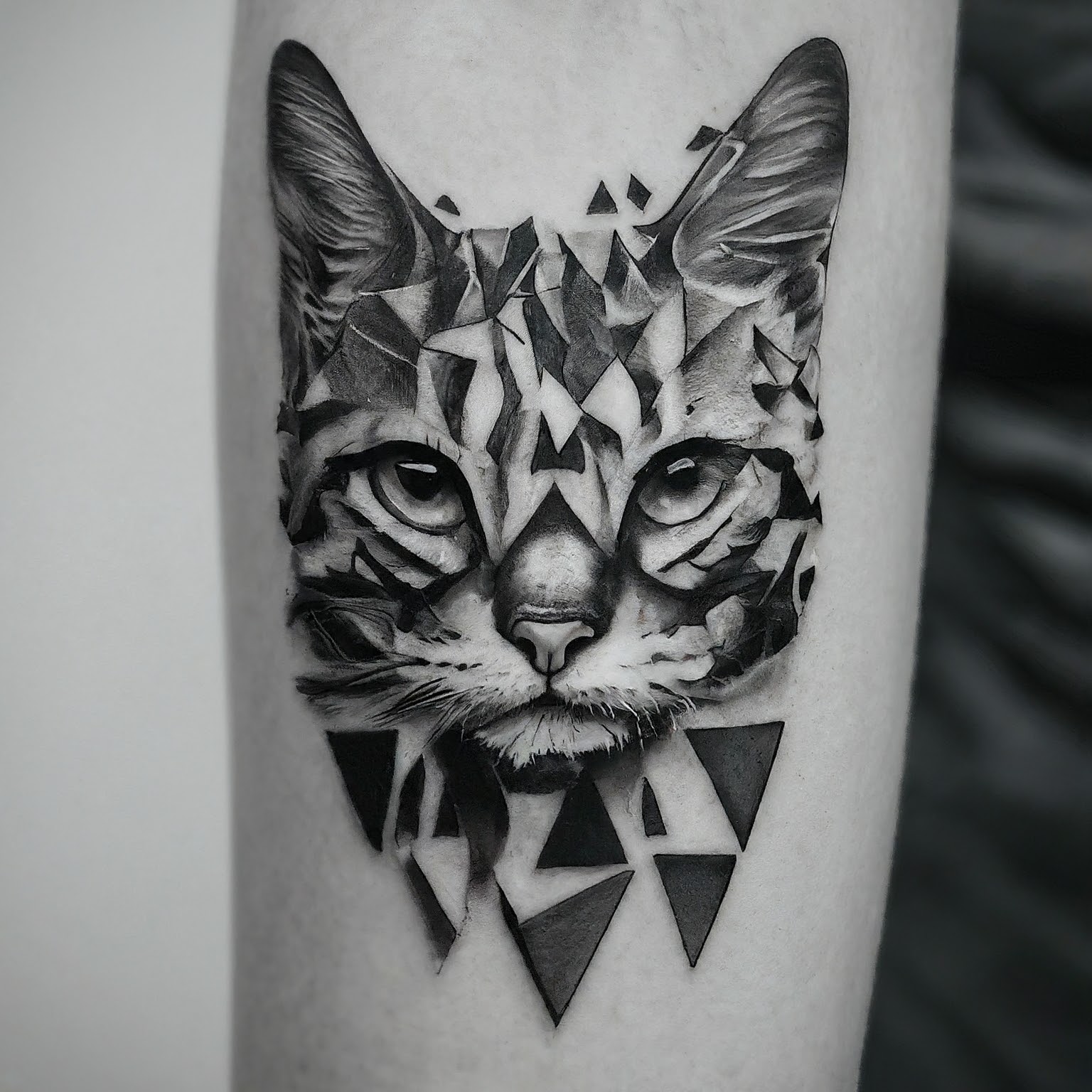 Polygonal Cats tattoo