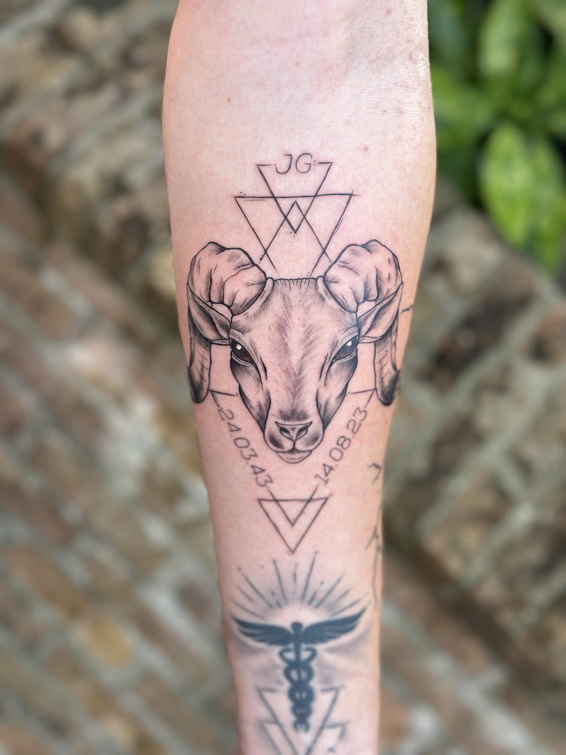 aries tattoo 2025 364165 aries tattoo 2025 364165