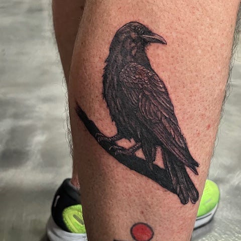 raven tattoo 2025 364158 raven tattoo 2025 364158